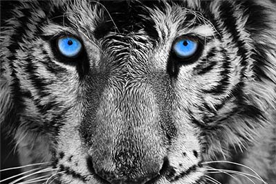 Modern & Clean Design